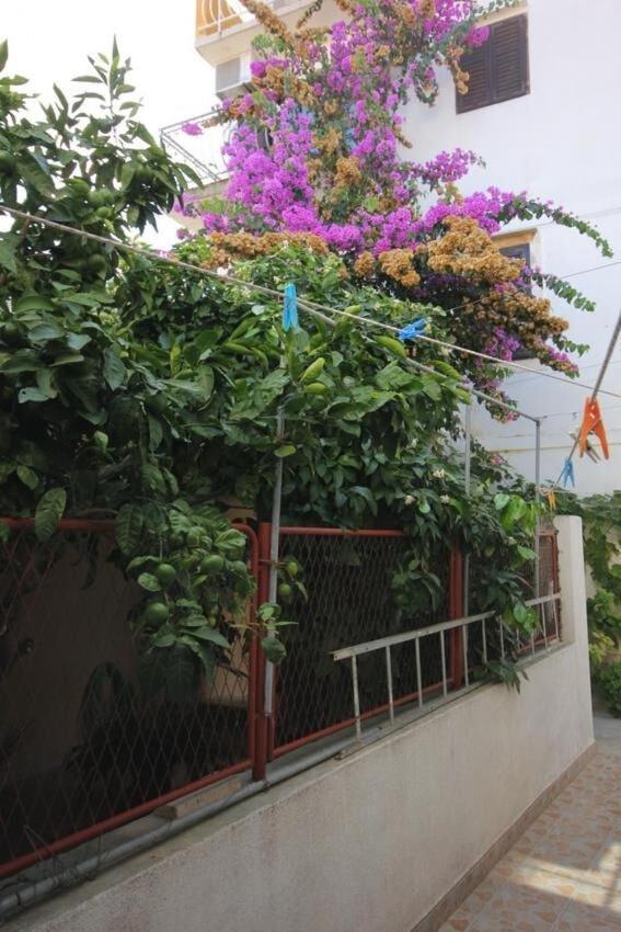 Apartments Zoki - Great Location Close To The Sea Βις Εξωτερικό φωτογραφία