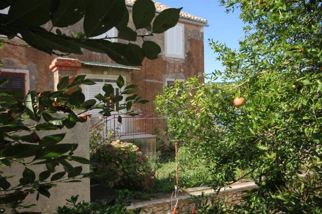 Apartments Zoki - Great Location Close To The Sea Βις Εξωτερικό φωτογραφία